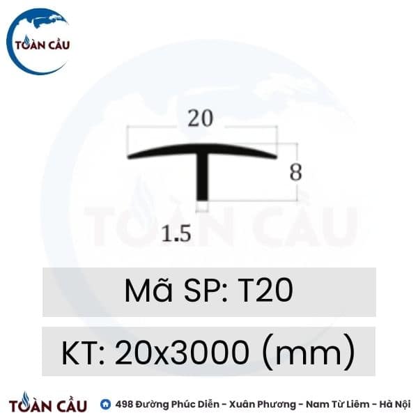 Nẹp đồng T20